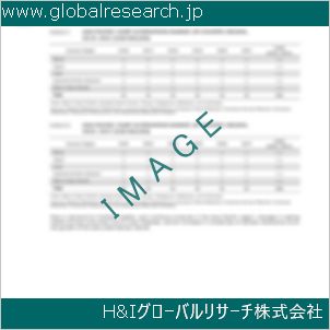 グローバルリサーチ調査資料のイメージ